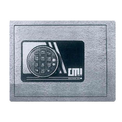 CMI - WS3D - Wall Safe 2