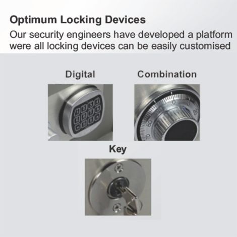 Platinum PS7 Premium Drug Safe 2